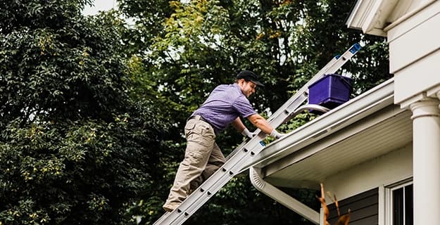 Gutter Cleaning & Maintenance